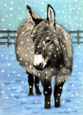 Donkey and Mule Art - Dressed for the Weather